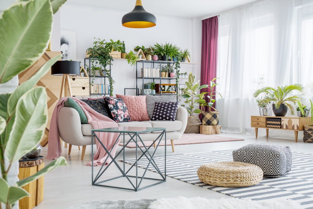 Spacious Living Room With Plants