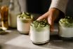 Close Up Of A Female Hand Placing Dalgona Matcha Latte Glasses