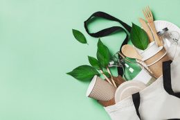 Plastic Free Set With Eco Cotton Bag, Glass Jar, Green Leaves And Recycled Tableware Top View. Zero Waste, Eco Friendly Concept. Flat Lay.