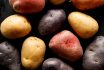 Potatoes, Different Types And Colors Of Potatoes On A Black Background.