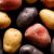 Potatoes, Different Types And Colors Of Potatoes On A Black Background.