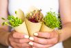 Woman Holding Sprouts Of Sunflower Beet And Radish Packed In Paper, Vegetarian Lifestyle