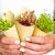 Woman Holding Sprouts Of Sunflower Beet And Radish Packed In Paper, Vegetarian Lifestyle