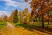 Babolovsky Park In Autumn, Pushkin (tsarskoe Selo), Saint Petersburg, Russia