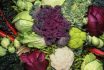 Grouping Of Cruciferous Vegetables