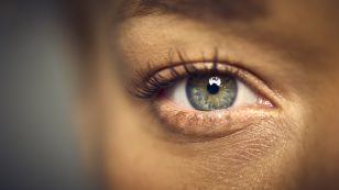 Macro Studio Shot Of Woman's Eye With Close Up On Eyelashes And Pupil