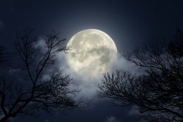 Night Sky With Full Moon