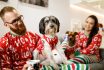 Couple Celebrating Christmas With Dogs On Sofa