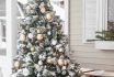 The Porch Of A Country House Decorated For Christmas And New Year Holidays. Christmas Tree On The Porch Of The House In Winter.