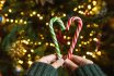 Child's Hands With Candy Canes In Heart Shape Over Christmas Tree Background