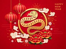 Snake Chinese Cny Zodiac Sign, 3d Flower Lantern And Clouds. Happy New Year 2025, Lunar Spring Festival, Holiday Decoration, Vector Greeting Card Illustration With Blowing Sakura Blossoms