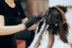 Woman Getting Highlights At The Hair Salon By Fast Hairdresser