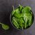 Fresh Green Spinach Leaves In The Bowl. Natural Vegetarian Food.