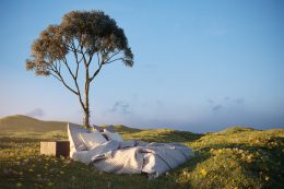 Bed In The Nature