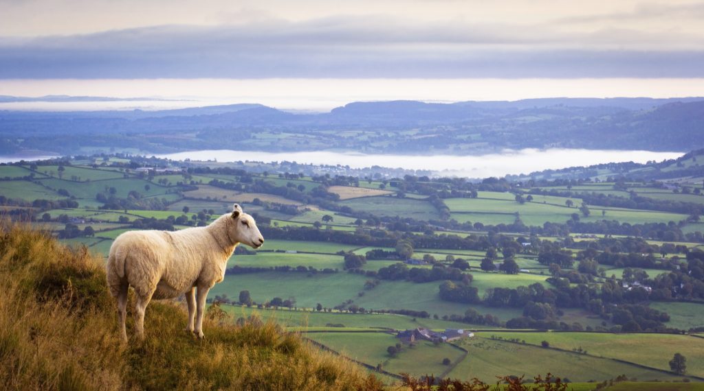 Vajon tényleg a korona legszebb gyémántja Wales? / Kép forrása: Getty Images