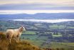 Vajon tényleg a korona legszebb gyémántja Wales? / Kép forrása: Getty Images