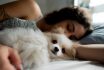 Close Up Of A Dog Lying On The Bed With Its Owner At Home