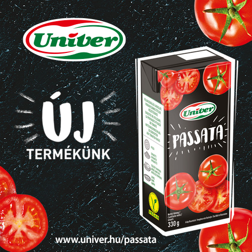 teszt 17 Teszt Passata.jpg