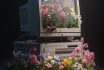 Majesticmagick Digital Nostalgia Flowers Emerging From The Tech 1632325e 9ea1 4d55 A95b 21aec31f0668