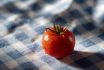 Sien9941 Ultra Hd A Tomato Centered On Crisp Blue And White Gi 92ddc1e1 16a8 4323 Abc4 Ebb04cff720b