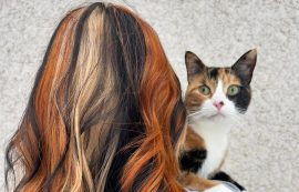 Calico haj