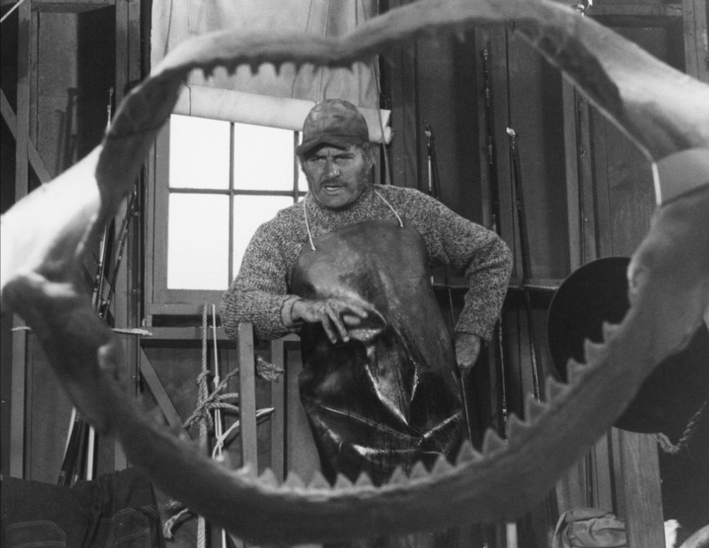 7 horrorfilm, amit mindenki imád nyáron – mert a borzongás hőségben is jól esik 5 Horror - A Cápa