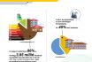 Energiai infografika