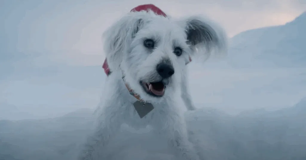 Krypto 1024x536 1