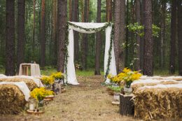 Place In Old Autumn Wood For Wedding Ceremony
