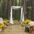 Place In Old Autumn Wood For Wedding Ceremony