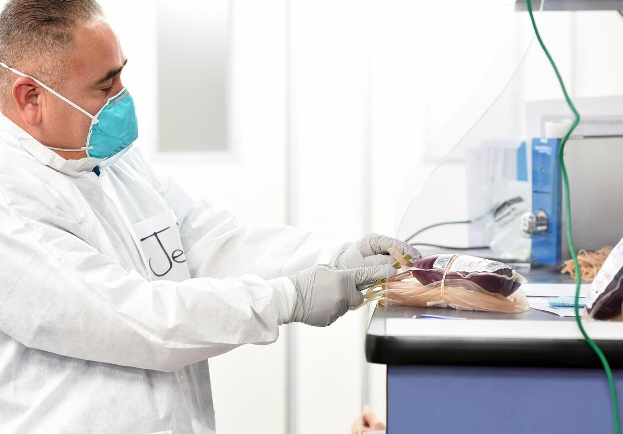 Https Plazma1.hu 2025 November Cikk6