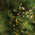 Outdoor Christmas Tree Background With Light Bokeh