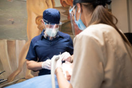 Colore.hu Budadental Kep1 Azimplantacioafogpotlasoklegmodernebbmodszere Budadental