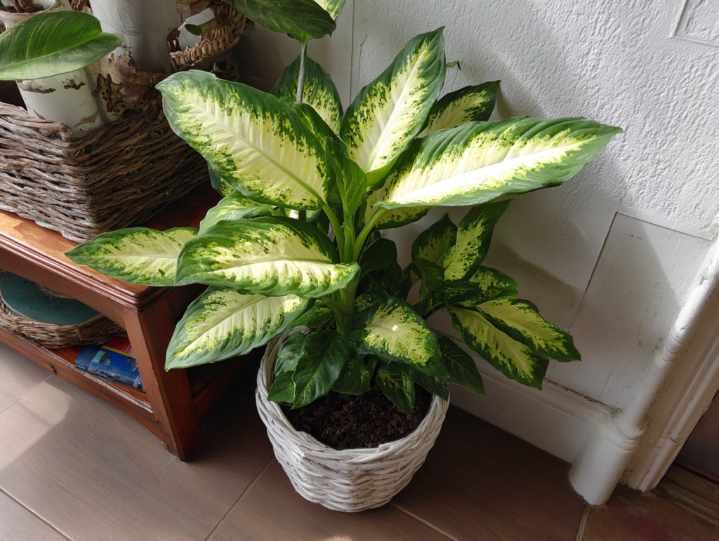 Gyönyörűek, mégis halálosan veszélyesek: 10 növény, amit tilos a lakásban tartani, ha van háziállatod 7 Szép növények mérgező háziállatra