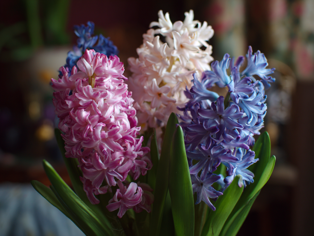 Gyönyörűek, mégis halálosan veszélyesek: 10 növény, amit tilos a lakásban tartani, ha van háziállatod 10 Szép növények mérgező háziállatra
