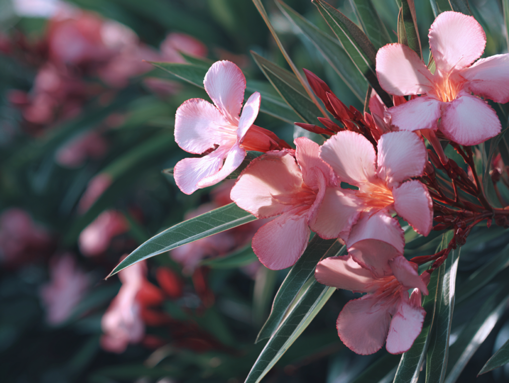 Gyönyörűek, mégis halálosan veszélyesek: 10 növény, amit tilos a lakásban tartani, ha van háziállatod 3 Szép növények mérgező háziállatra