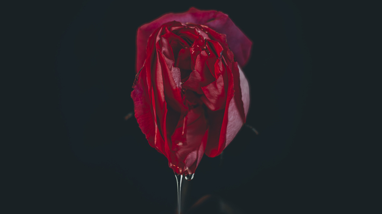 Tévhitek a vagináról, amelyeket ideje elengedni 1 Vagina