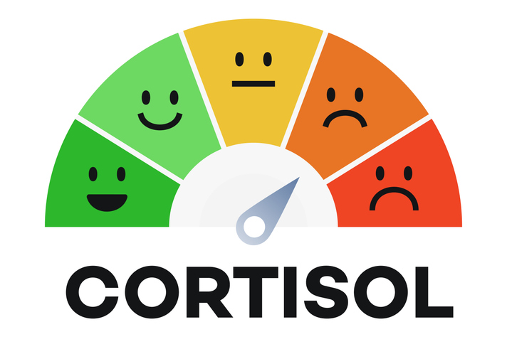 Kortizol