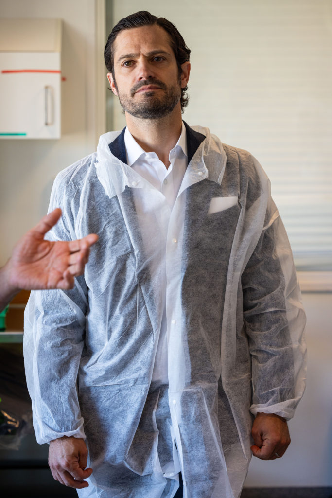 svéd károly fülöp