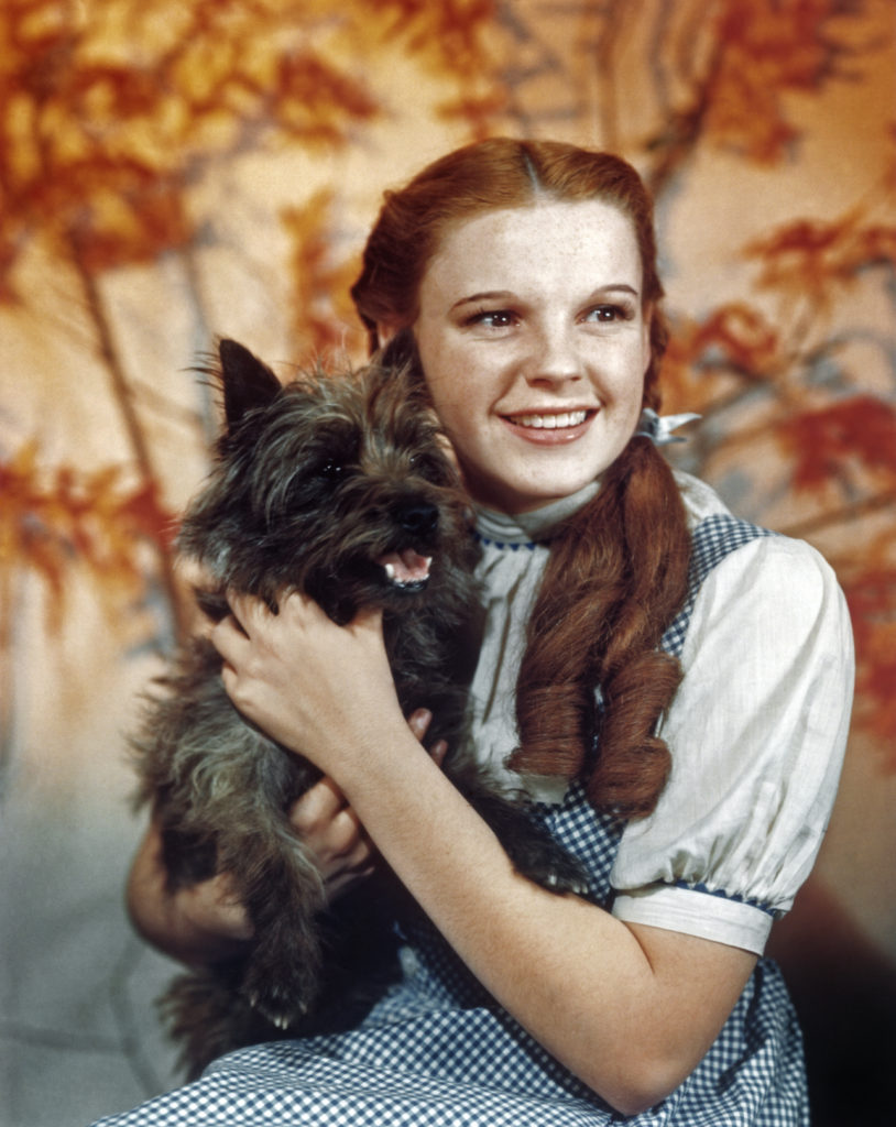 Judy Garland színésznő