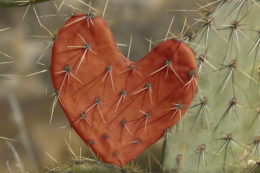 Toxikus párkapcsolat