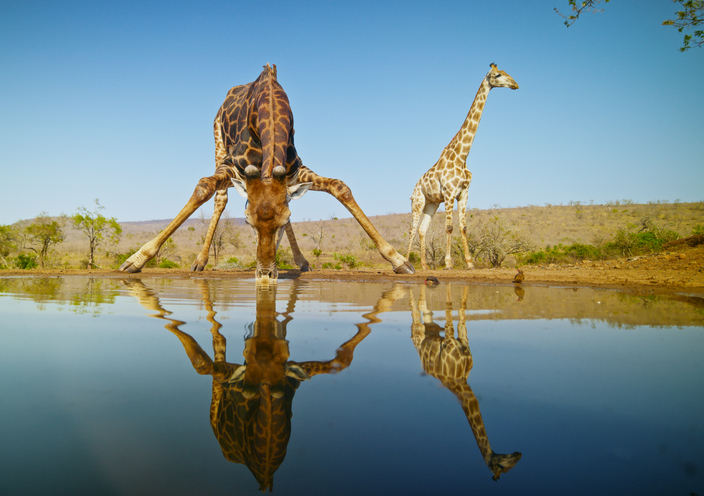 Veszélyes ország egyedül