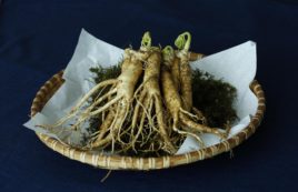 Lifestylepro.hu 2026 Aprilis Linkmarketing 10