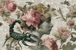 Csillagjegy skorpió