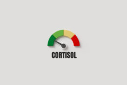 Kortizol