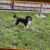 Katandogpark.hu 2026 Augusztus Linkmarketing 2 2
