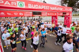 Maraton Nyito Cikkoldal