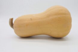 sütőtök