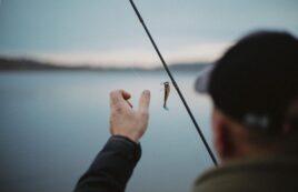Www.gold Fisch.hu 2026 Oktober Linkmarketing 2